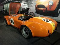 Cobra Experience