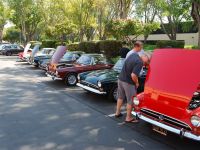 STOA Picnic and Show